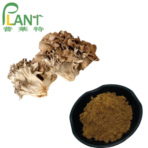 Poudre d&#39;extrait de champignon Maitake biologique Beta Glucane