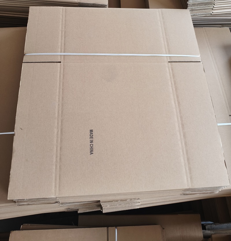 Chinese-made, high-quality steam cleaners successfully delivered to a Dutch customer in Europe