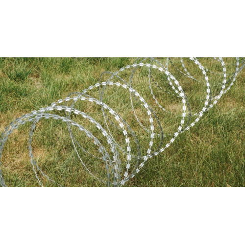 Low Price Hot Dipped Galvanized Razor Wire