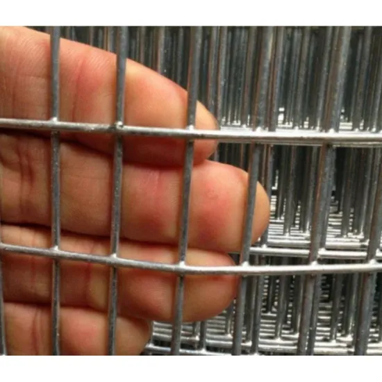 3D Curved PVC Coated Galvanized Welded Wire Mesh: Outdoor Home Decor and Security Solutions