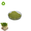 Natural Organic Pure Broccoli Sprout Extract Powder