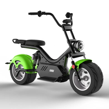 EU/US Warehouse Fat Tire Electric Electric - CityCoco EEC COC 3000W Chopper