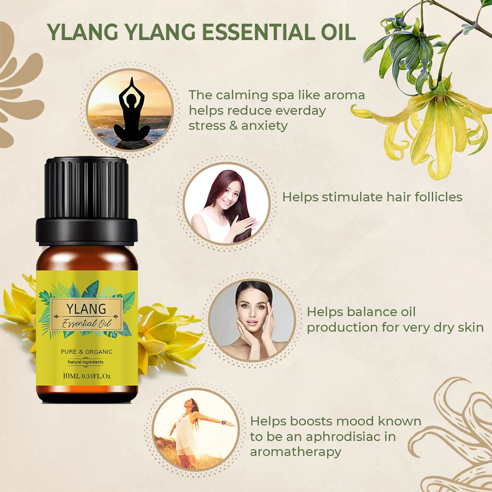 Organic Wholesale 10ml 100% Extrato de planta natural puro OEM Ylang Ylang Oil para produtos de saúde