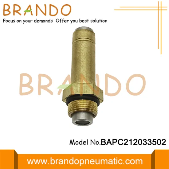 LPG CNG Reducer Parts Solenoid Plunger Tube