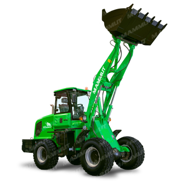 Bộ tải bánh xe mini Trung Quốc 2-3 tấn Mammut WL20 Thiết bị hạng nặng