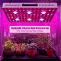 Planta de interior COB Grow Light 3000W