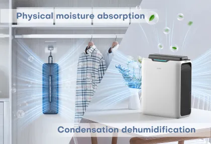 DOUHE OEM Source Factory 12V 2.5L Home Dehumidifier