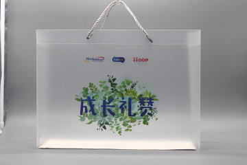 Custom Plastic Printing Transparent pp Bag