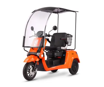 Wholesale Customized Electric Tuk Tuks and Tricycles