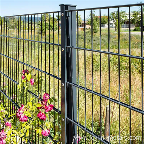 pvc caoted double wire mesh fence