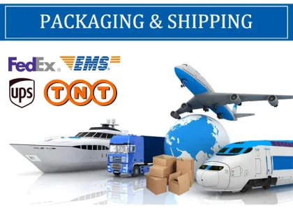 Artiglio Master JOLLY Tire Changer - CORGHI Tire Extractor