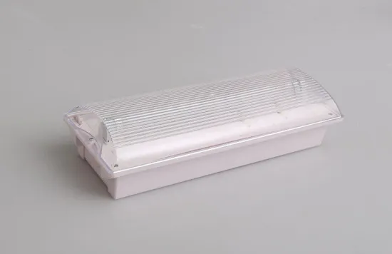 T5 1x8w Fluorescent Emergency Light Fel123003 For Emergency Lighting, Ip50