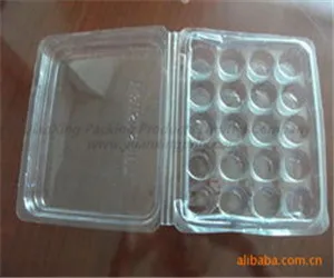 plastic clamshell box