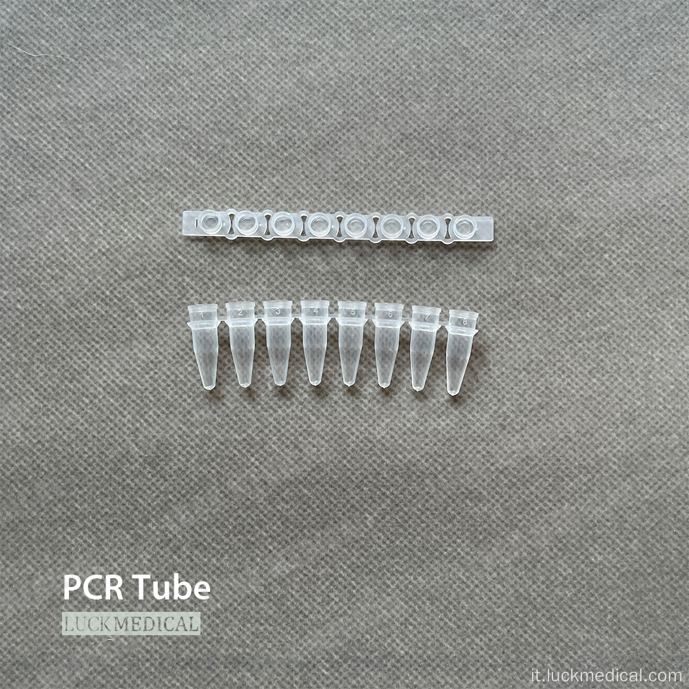 Strisce di tubo PCR da 0,1 ml da 0,2 ml