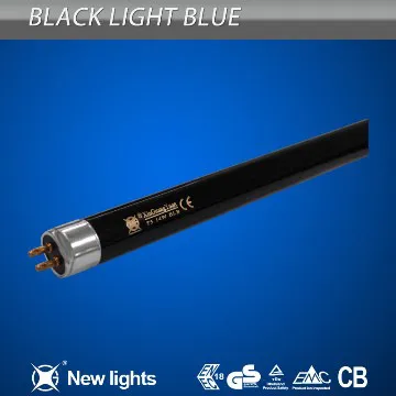 money check uv light