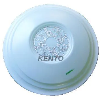 22W morden home ceiling lighting