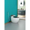 Factory Siphonic one piece toilet in black color