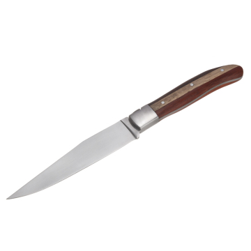 Single bolster steak knife with DUO handle