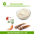 Koreaanse rode ginsengwortelextract ginsenoside 5% poeder