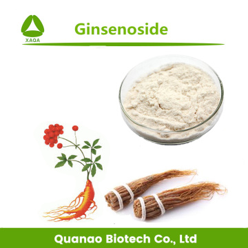 Extracto de raíz de ginseng rojo coreano Ginsenoside 5% en polvo
