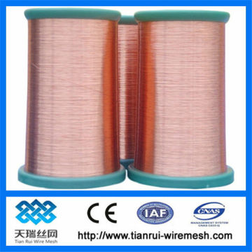 copper wire/copper wire mesh