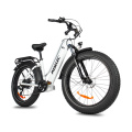 EU Stock 750w bafang motor large battery electric bike