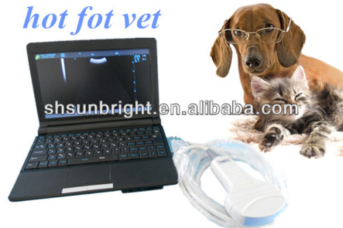ultrasound machine veterinary