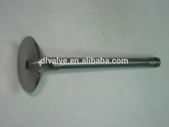 13715-21010 &13715-21010 engine valve for toyota 1NZ