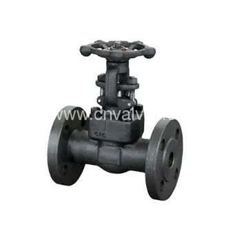 Gate Valve (Flanged End Forged)