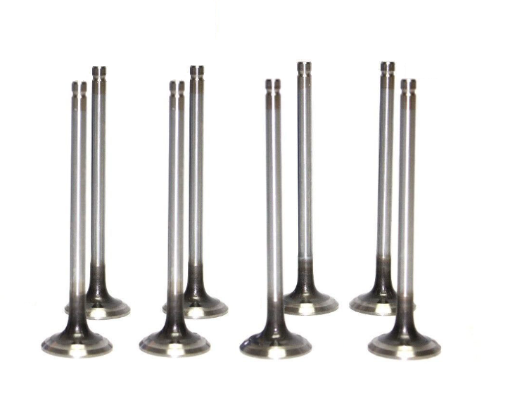 High Quality 96896008 Engine Valve
