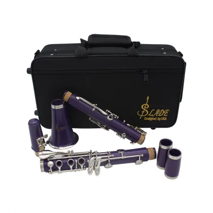 SLADE 17 Key Clarinet Falling Tune B Soprano Nickel Plating Musical Instruments Professional Woodwind Instruments