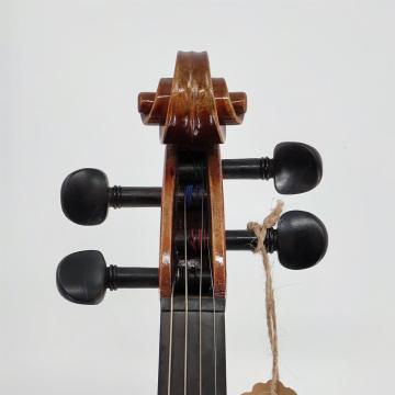 Beginner students ordinary violin