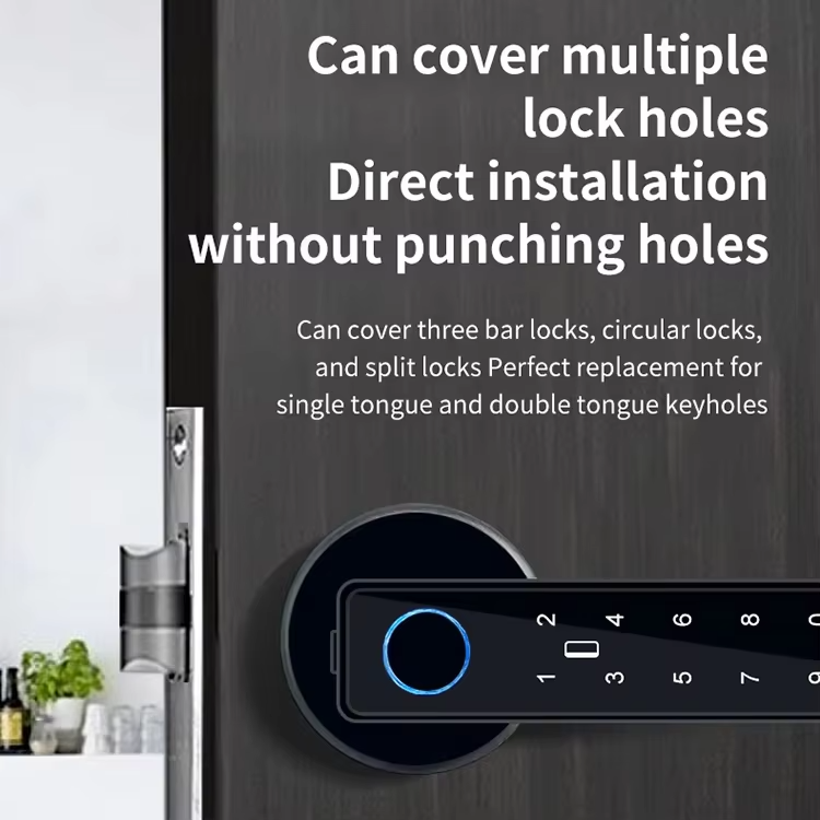 4 Fingerprint handle door lock