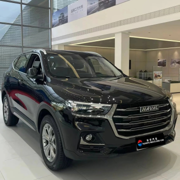 Großer Wand Haval H6 2.0T 4WD Benzin SUV