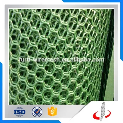 Green Grass Protection Plastic Mesh