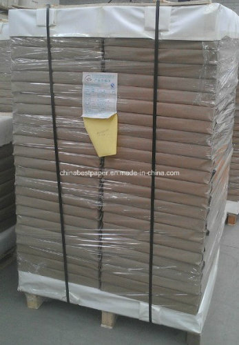 230g Double PE Coated Paper for Making Tea Cup