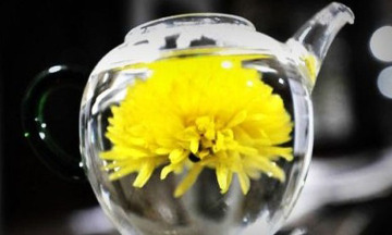 dried chrysanthemum flowers tea