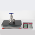 Double Seat Flange Connection Titanium Globe Valve