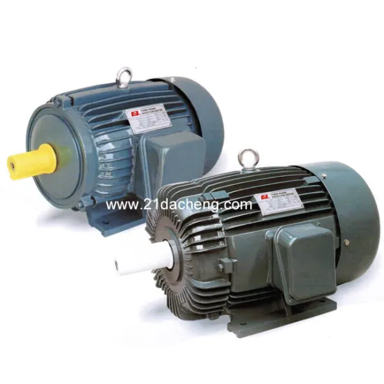 AEEF IEC Standard three-phase Induction Motor