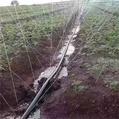 Vegetable seven-hole spray hose