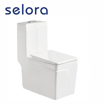 one piece toilet amazon home depot at costco