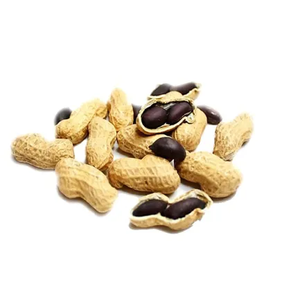 Organic Raw Black Color Skin Black Peanut Raw Peanut Nuts