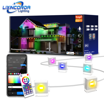 WiFi Permanent Outdoor Lights: 100ft Smart RGBIC Eaves Lights with 72 Scene Modes and IP67 Waterproof