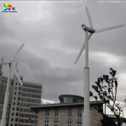 China Wind Turbine Manufacturer Wind Mill 20KW System
