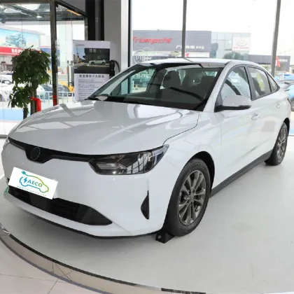 New Energy Vehicle 2024