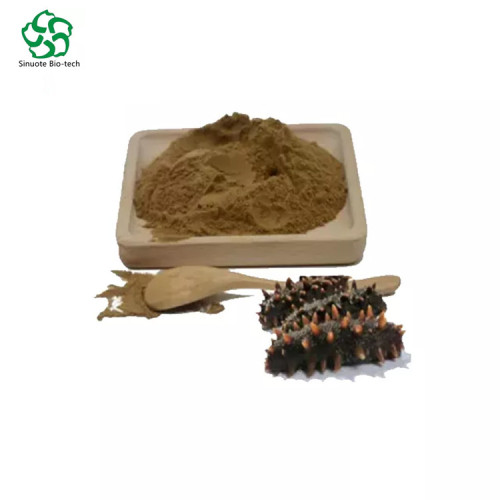 ISO Certifide Sea Cucumber Extract Powder