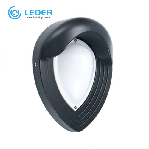 LEDER Feature Black White LED Outdoor Wall Light