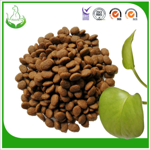 22% protein dog food for old puppy