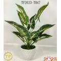 46cm Dieffenbachia leaf x 12 with plastic Pot