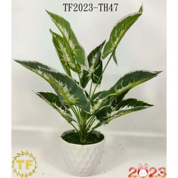 46cm Dieffenbachia leaf x 12 with plastic Pot